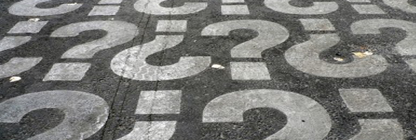 Facebook Questions & Polls