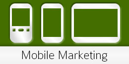 Today�s Buyers View Your Website in Their Palms